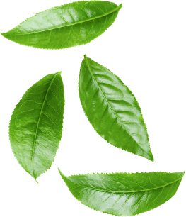 Ingredientes Ingredientes